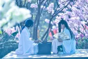 园林实景图 (3)