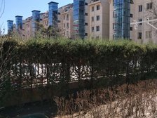 草桥·草桥东路20号院·2室·1厅