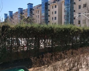 草桥·草桥东路20号院·2室·1厅