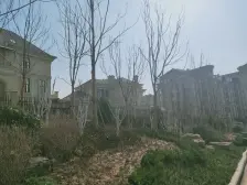 双拼别墅 大院子 景色优美 观山好房