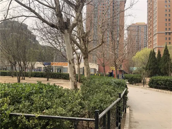 大屯里小区实景图