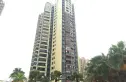 海岸雅居实景图