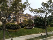 万达边上,英伦风端头联排,大花园三不沿