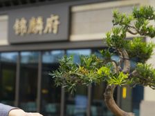 新希望锦麟府4室2厅东南