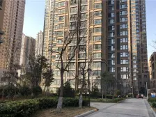 满五唯一 三环内 2017年 人车分流 刚需小三室