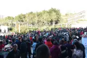 园林实景图 (7)