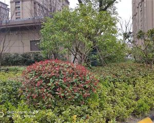 沙家圩花苑三室两厅两卫飞机户型137平纯毛坯带车库
