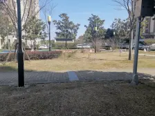 青浦之巅,好房必卖,三房两卫,不容错过,南北通全明