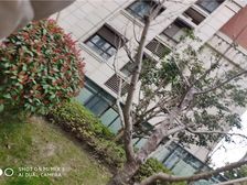 商品房,好楼层,采光好,随时看房。