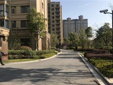 万濠世家电梯洋房 满五唯一 采光无遮挡 价格可议