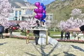 园林实景图 (8)