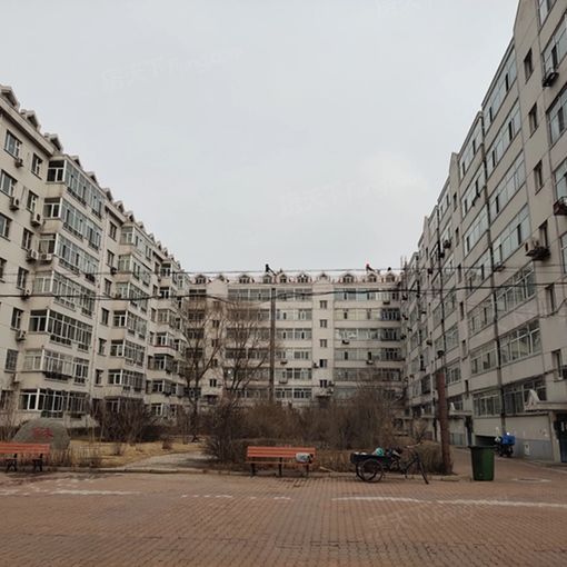  ���ּ���¥1��1��1���ϳ���1400.00Ԫ/�³��� 