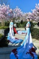园林实景图 (1)