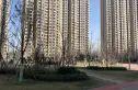 万科金色悦城实景图