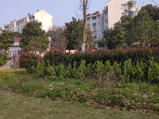 主卧朝南,环境优美,居家装修,诚意出售,刚需好房