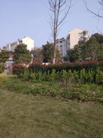 思凡花苑实景图