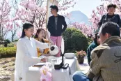 园林实景图 (2)