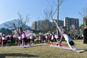 园林实景图 (5)