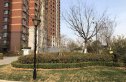 中建新悦城实景图
