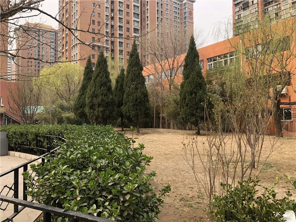 小区相关图