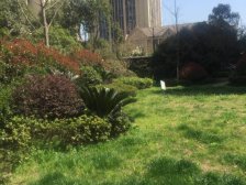 虹桥宝龙城二期 3室1厅 南 北