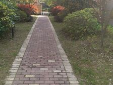 临港洋房+上师大+满5V1+中间楼层