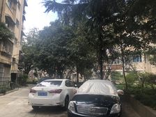 原始三房采光通风好户型方正房东诚意出售