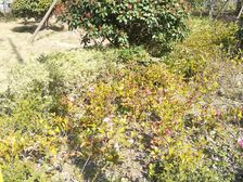 电梯房,主卧朝南,交通便利,居家装修,精装好房