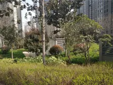 客厅朝南带阳台优质三室 中高楼层采光不挡 随时看房