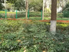 绿地东上海三期 4室2厅 南 北