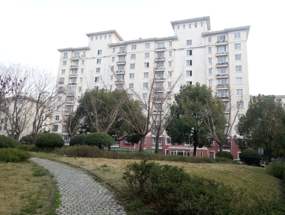 三林世博家园(板泉路2000弄)实景图