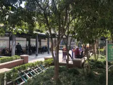 底楼带花园,可小刀,近地铁站