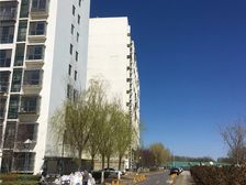 焦各庄街2号院,马可汇商,可个人