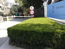 华泾·滨江108·6室·3厅