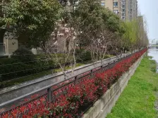 大金中Yang空调+博士地暖+大金新风系统+大四房边套