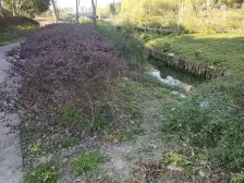 马陆·佳兆业壹号·4室·2厅