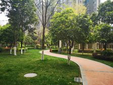 金辉悦府 3室2厅 西南