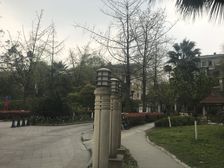 泰基花溪谷4室1厅东南