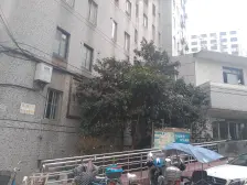 愚园一 阳光视野好 电梯中高区双南