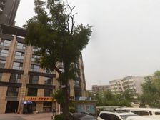 上东8号3室2厅南北