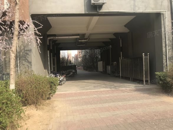 自由筑实景图