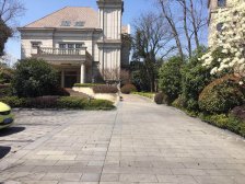 精装三房,诚心出售看房子方便!