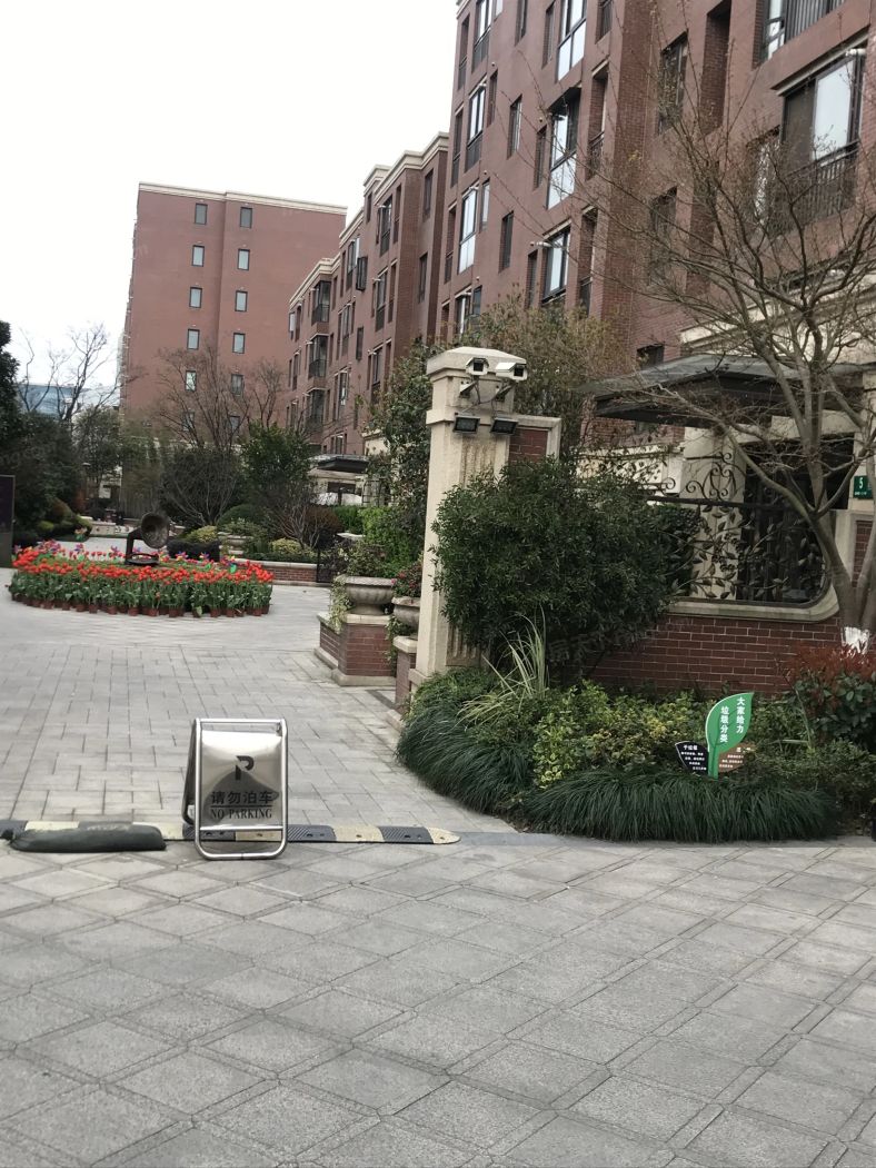 实景图