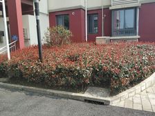 逸时区2室1厅南