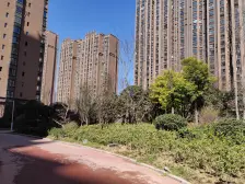 满五年 户型方正 房东诚心卖