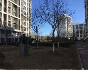 焦各庄街2号院,正规户型,业主诚心出售