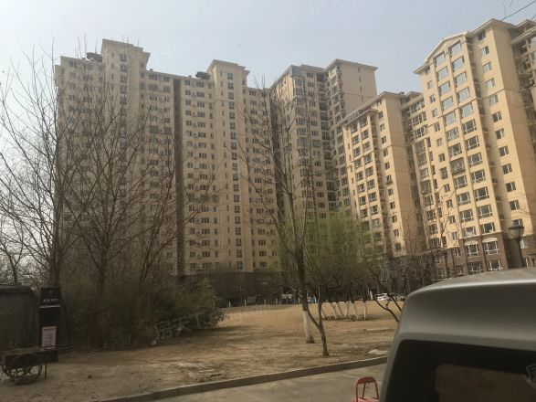 龙湖大方居实景图