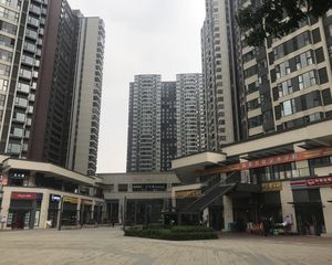 合能珍宝琥珀3期 5室2厅 南