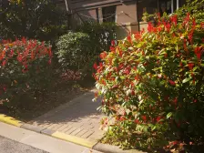 临港品质小区 中间楼层 纯毛坯 房东诚意 可谈