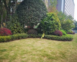 新希望皇冠国际3室1厅东南